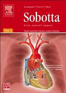 Description: Cover_Sobotta_T2